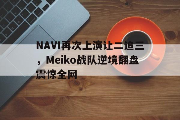 IM电竞游戏平台-NAVI再次上演让二追三，Meiko战队逆境翻盘震惊全网